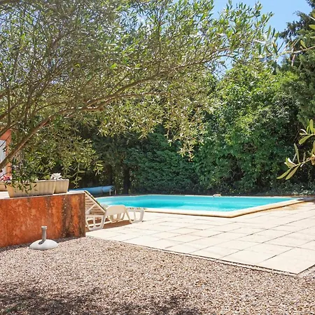 Pet Friendly In Bédarieux